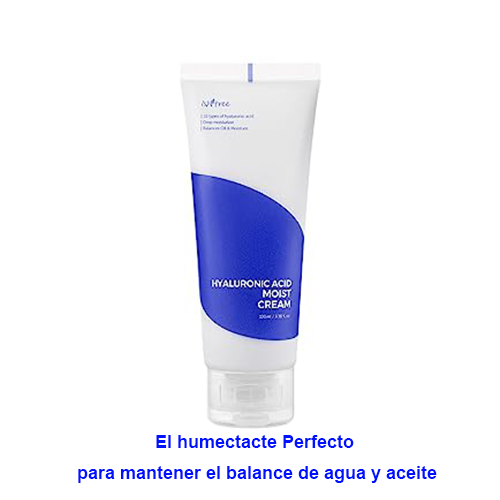 [Crema facial] ISNTREE Hyaluronic Acid Moist Cream 100ml